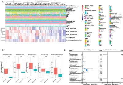 Quantification of ferroptosis pathway status revealed heterogeneity in breast cancer patients with distinct immune microenvironment